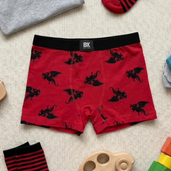 BH-Boxer Hugo 01 Bóxer Hugo